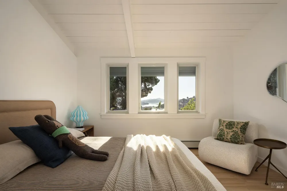 214 Cleveland Court Mill Valley, CA 94941