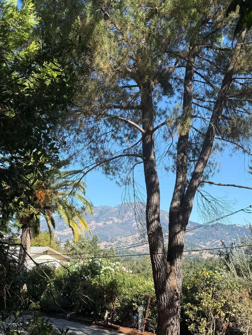 220 High Street Calistoga, CA 94515
