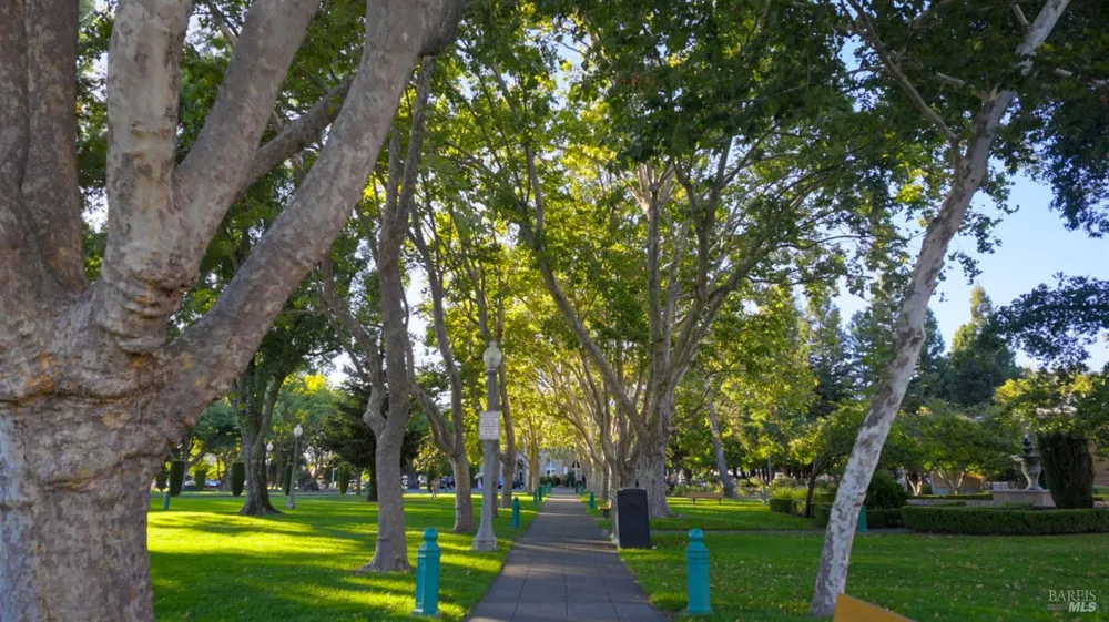 255 Richards Boulevard Sonoma, CA 95476