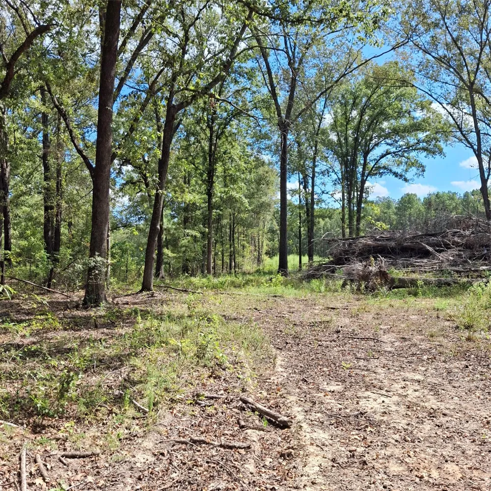 1068 Goathill Road Elm Grove, LA 71051