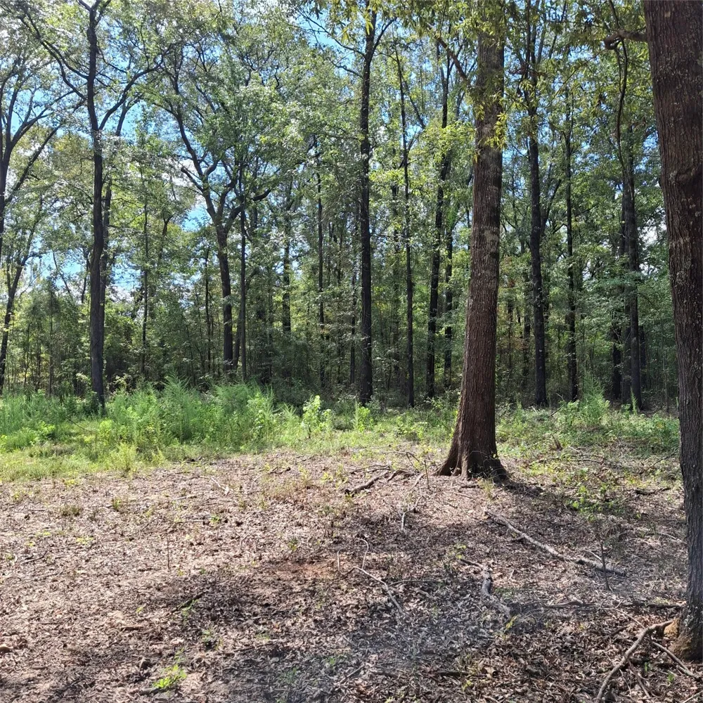 1068 Goathill Road Elm Grove, LA 71051
