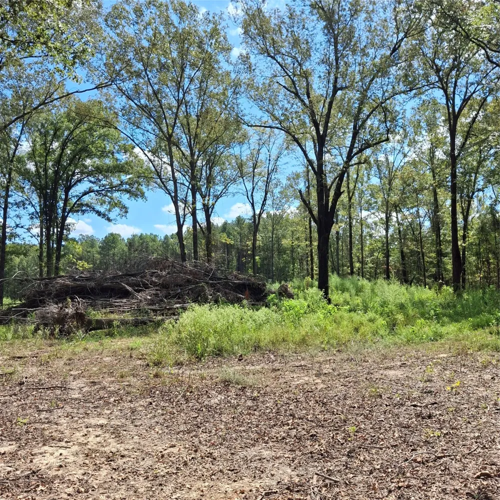 1068 Goathill Road Elm Grove, LA 71051