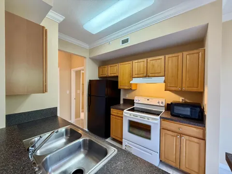 15045 Michelangelo Boulevard #102