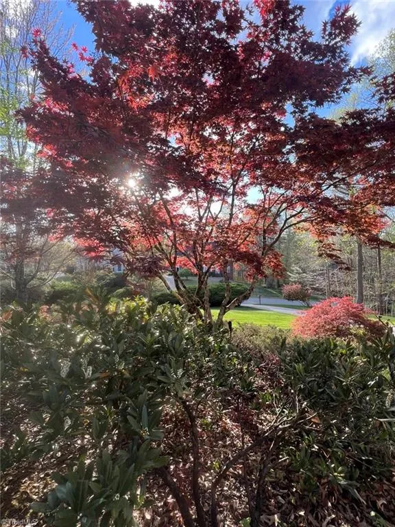 2704 Currieton Court Oak Ridge, NC 27310