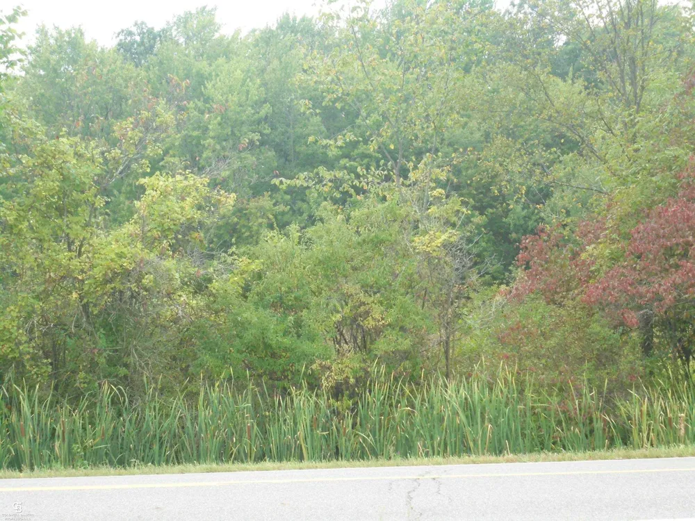794 Cove Road Wales Township, MI 48027