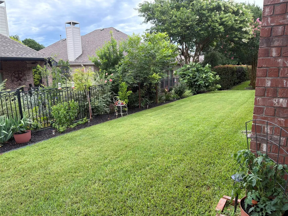 1377 Ranch House Drive Fairview, TX 75069