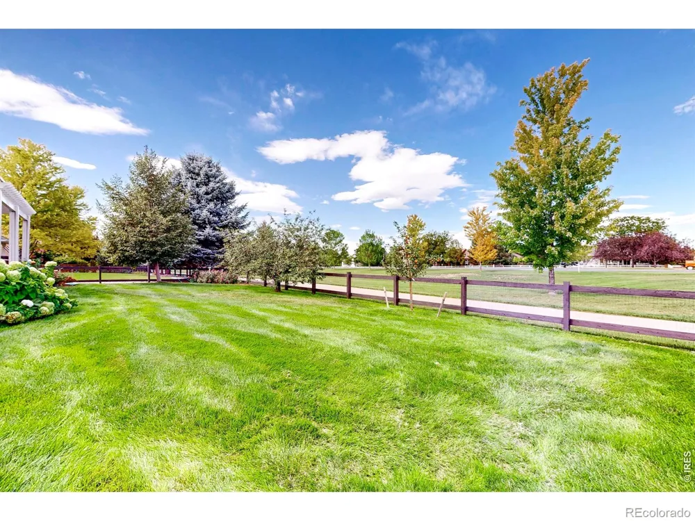 6694 Spanish Bay Drive Windsor, CO 80550
