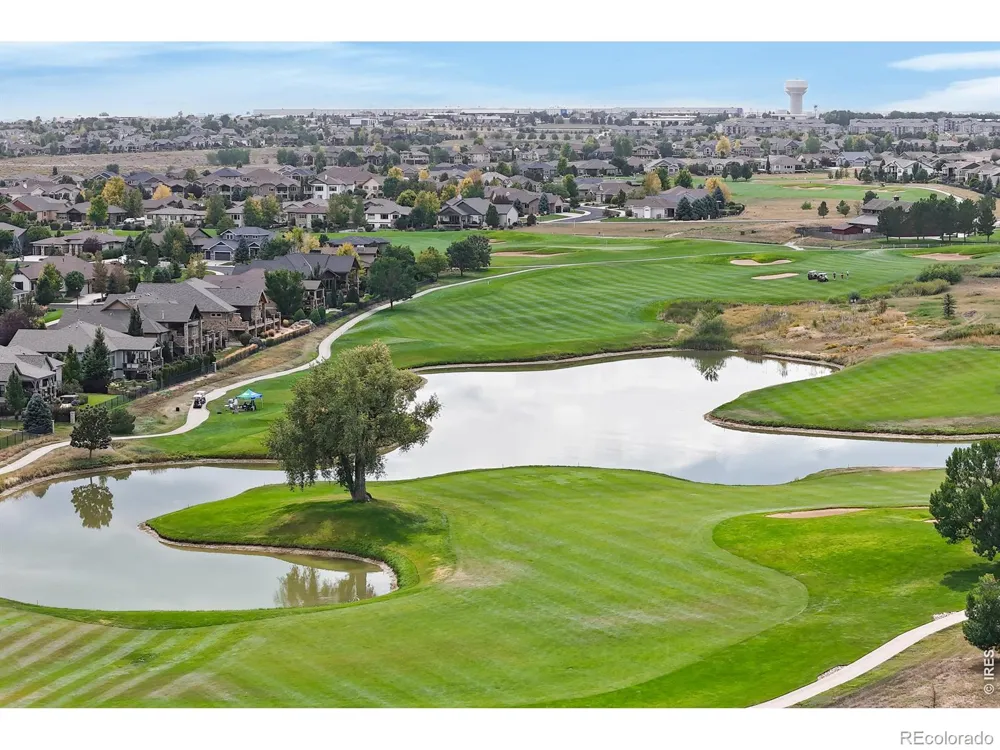6694 Spanish Bay Drive Windsor, CO 80550