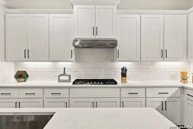 22602 Estacado San Antonio, TX 78261