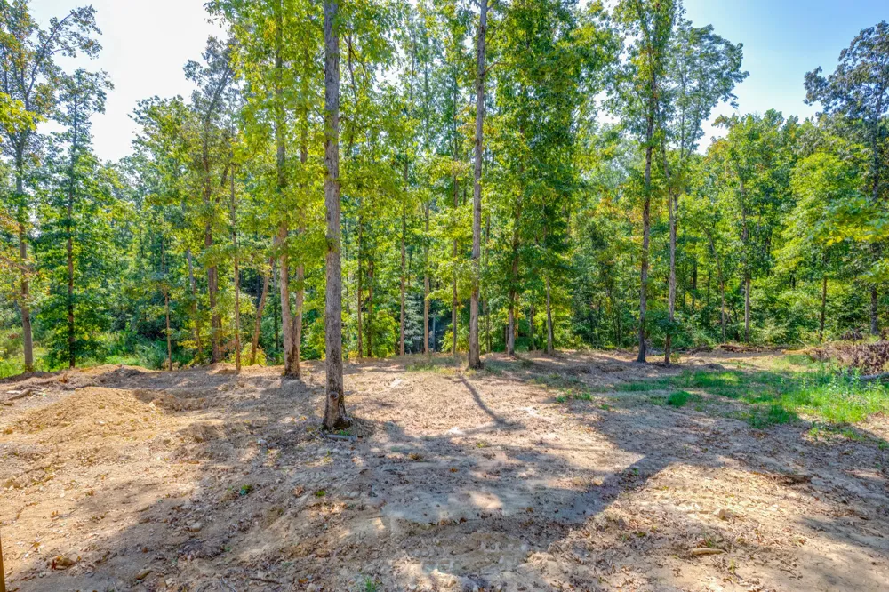 163 Countrywood Ln Hohenwald, TN 38462