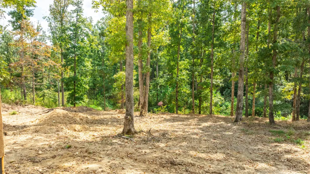 163 Countrywood Ln Hohenwald, TN 38462