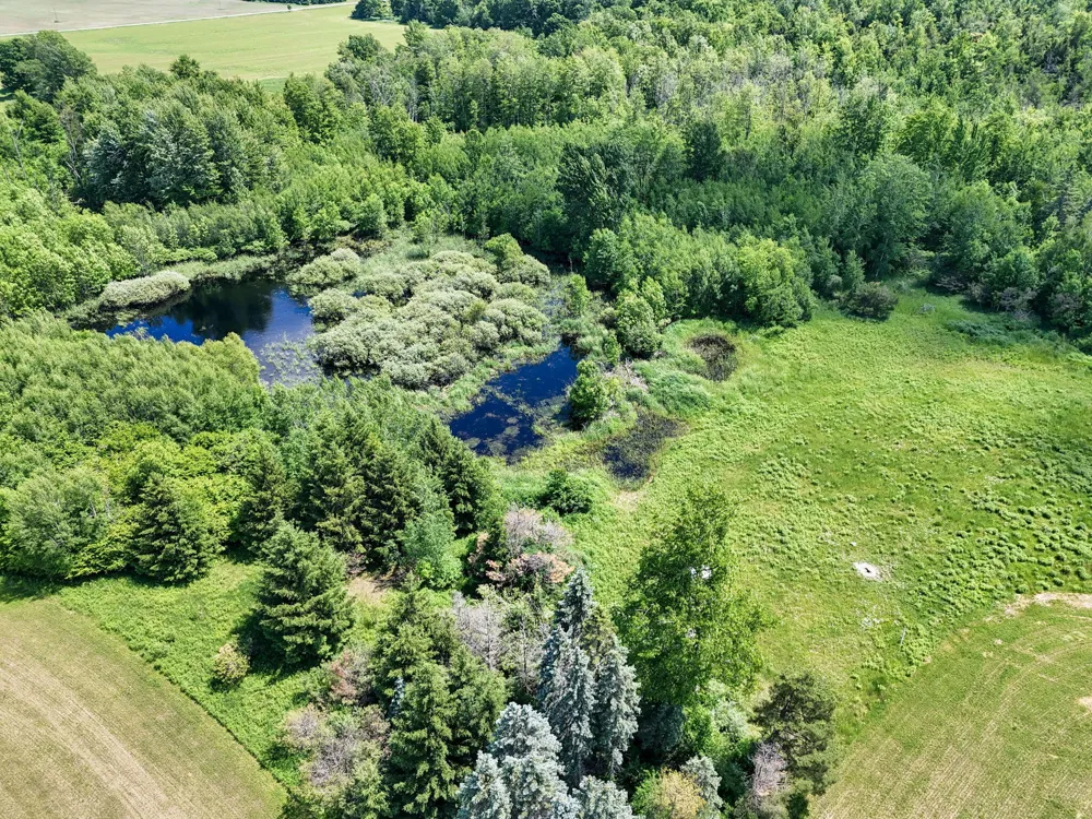 4690 E Houghton Lake Road Lake City, MI 49651