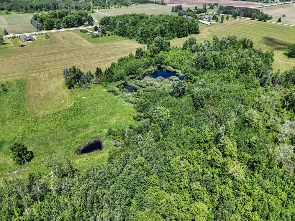4690 E Houghton Lake Road Lake City, MI 49651