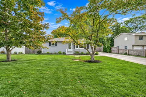 33 Pine Cone Street