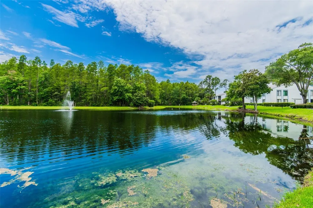 1488 PINE GLEN LANE #A1 Tarpon Springs, FL 34688