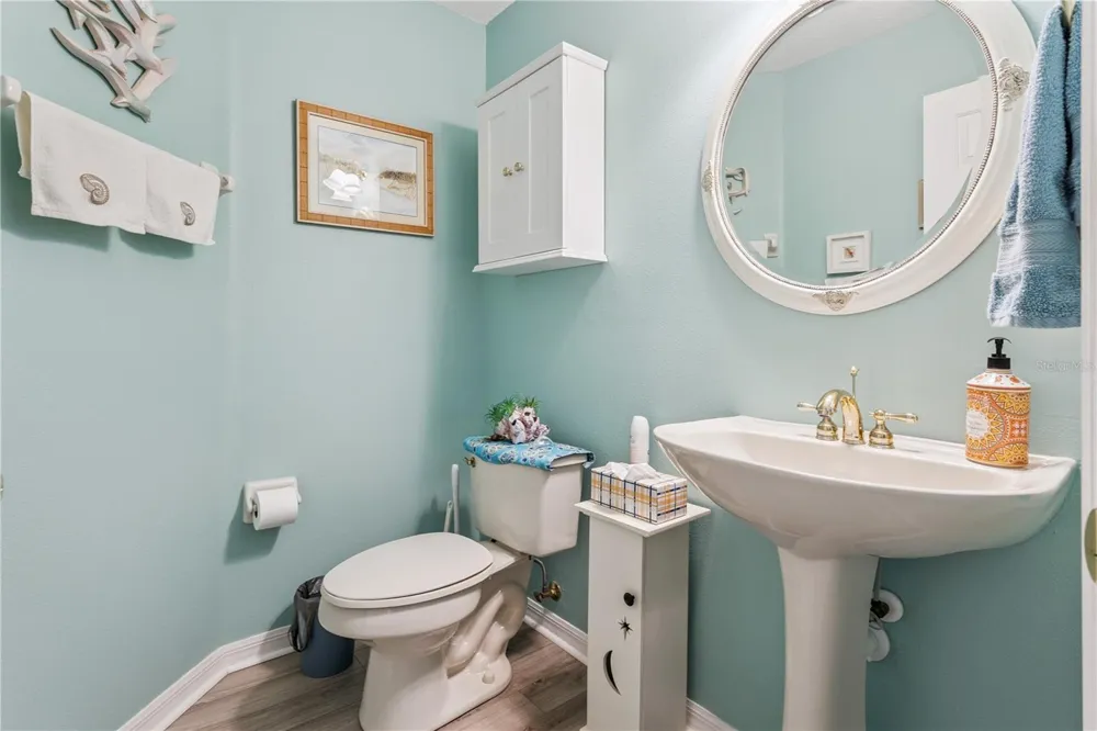 24215 BELLE MEDE DRIVE Leesburg, FL 34748