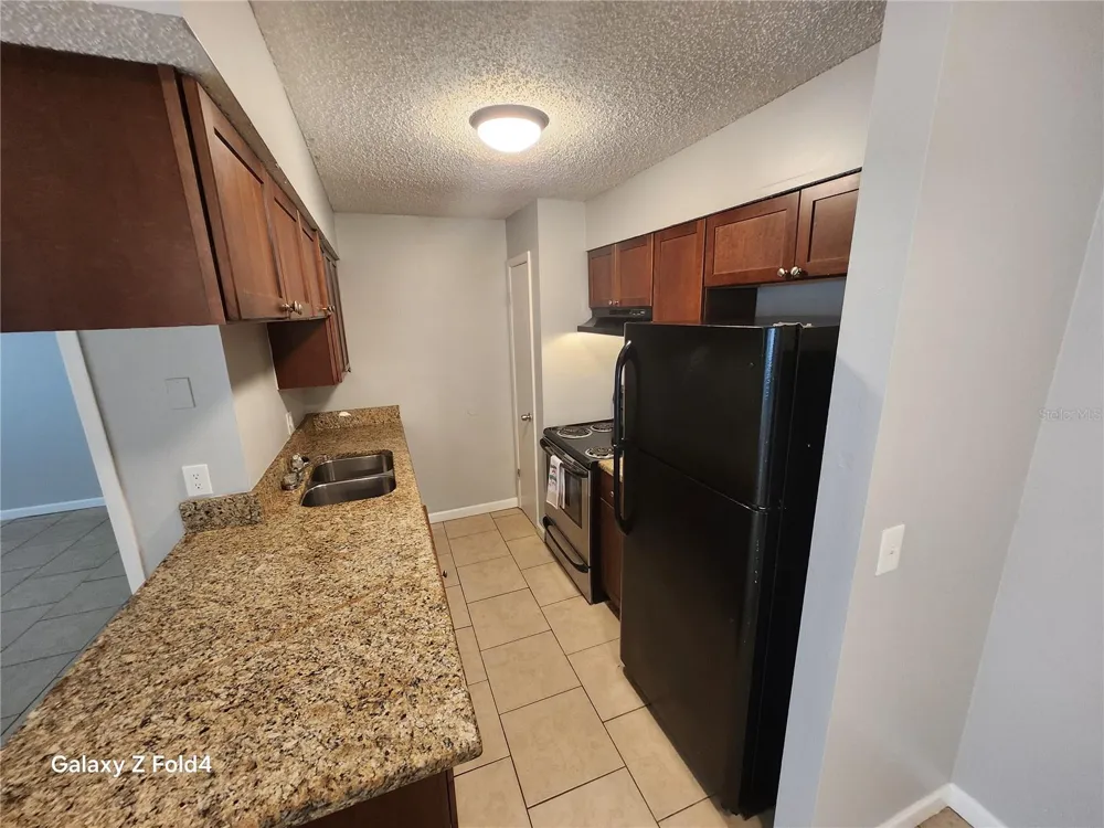 638 GOLDEN RAINTREE PLACE Brandon, FL 33510