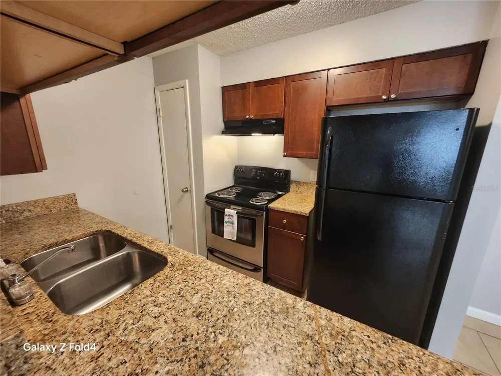 638 GOLDEN RAINTREE PLACE Brandon, FL 33510