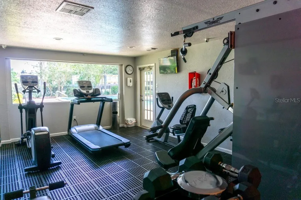 638 GOLDEN RAINTREE PLACE Brandon, FL 33510