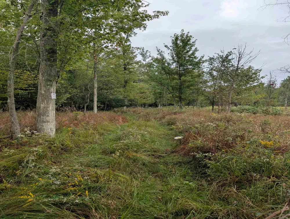 W Huron Arenac Township, MI 48749