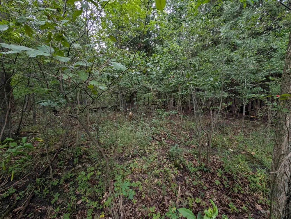 W Huron Arenac Township, MI 48749