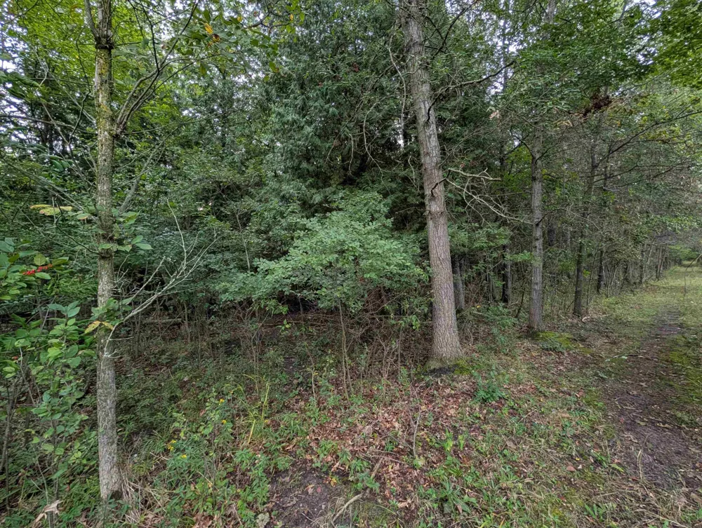 W Huron Arenac Township, MI 48749