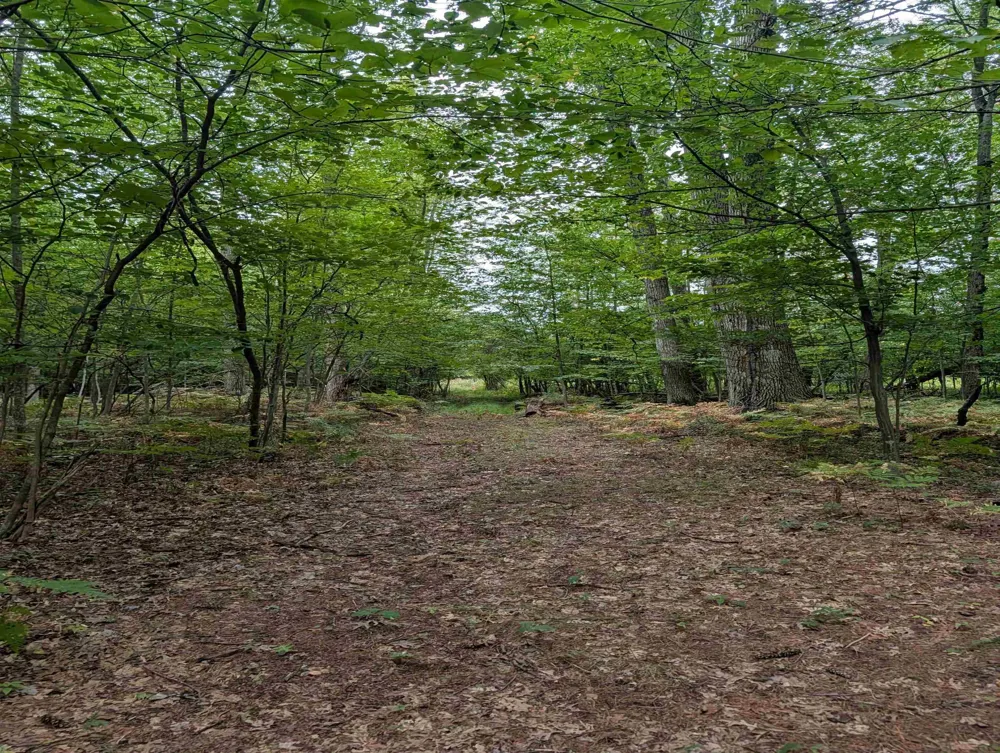 W Huron Arenac Township, MI 48749