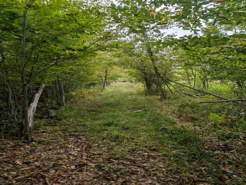 W Huron Arenac Township, MI 48749