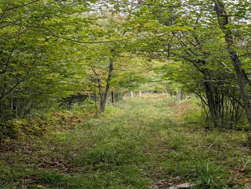 W Huron Arenac Township, MI 48749