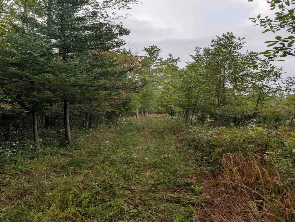W Huron Arenac Township, MI 48749