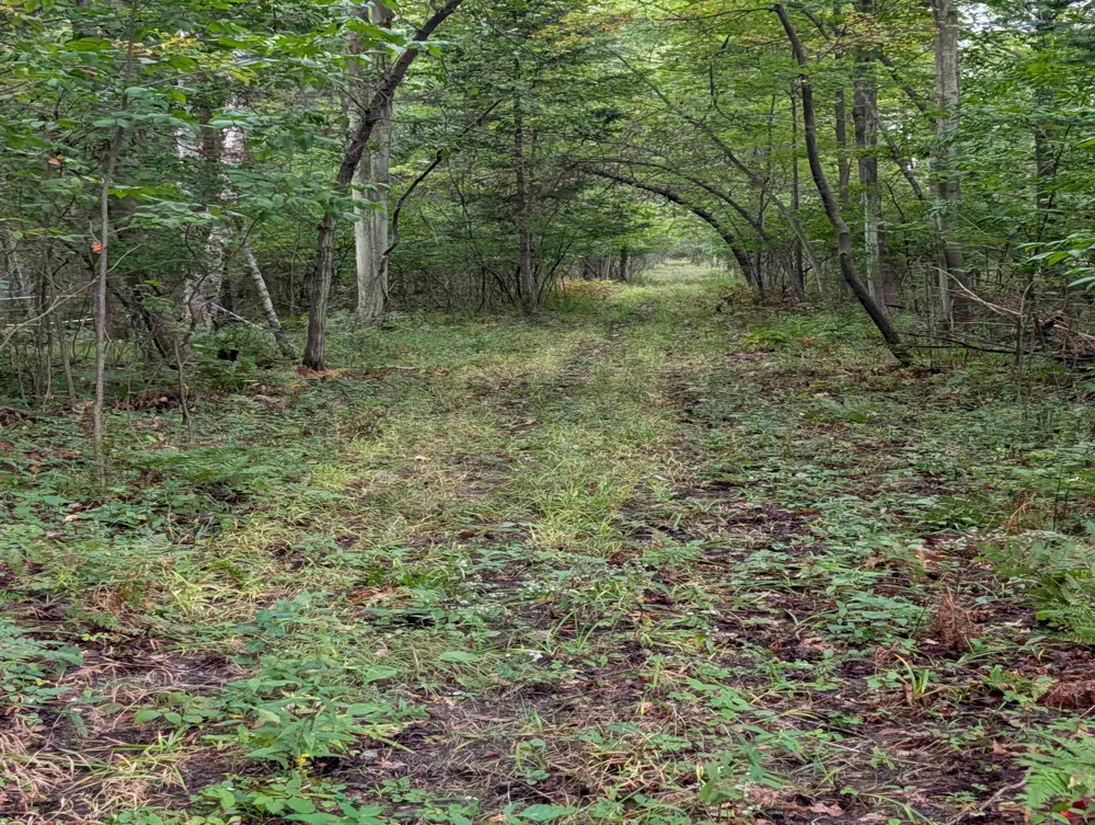 W Huron Arenac Township, MI 48749