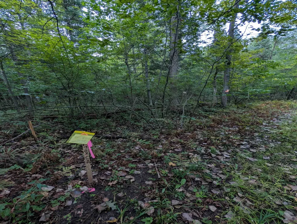 W Huron Arenac Township, MI 48749