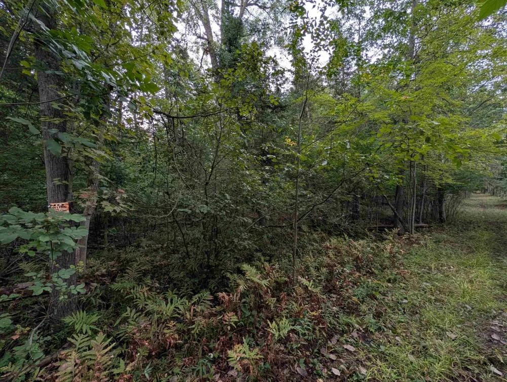 W Huron Arenac Township, MI 48749