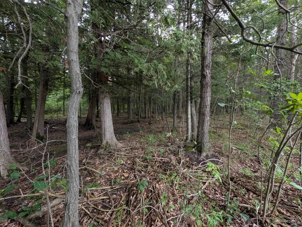 W Huron Arenac Township, MI 48749