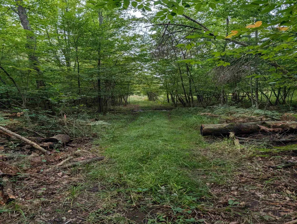 W Huron Arenac Township, MI 48749