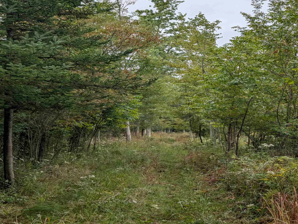 W Huron Arenac Township, MI 48749