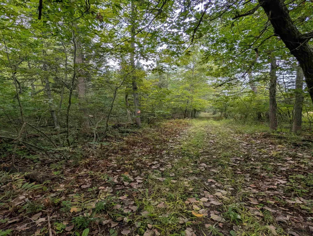 W Huron Arenac Township, MI 48749
