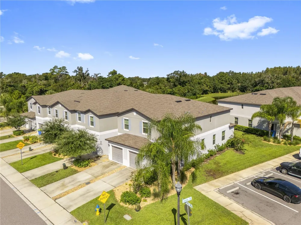 23281 WILLOW GLEN WAY Lutz, FL 33549