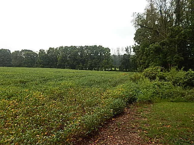 29650 D DRIVE S Albion, MI 49224