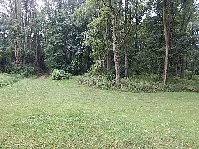 29650 D DRIVE S Albion, MI 49224