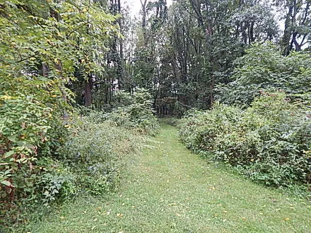 29650 D DRIVE S Albion, MI 49224
