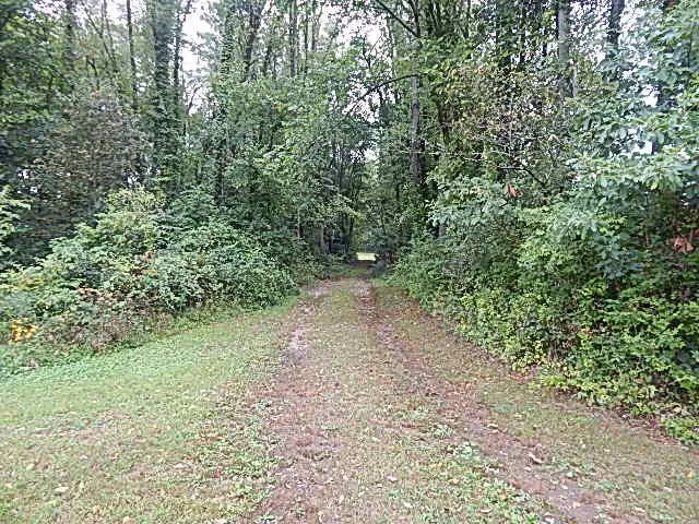 29650 D DRIVE S Albion, MI 49224