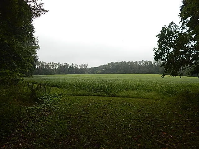 29650 D DRIVE S Albion, MI 49224