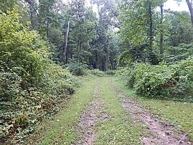 29650 D DRIVE S Albion, MI 49224