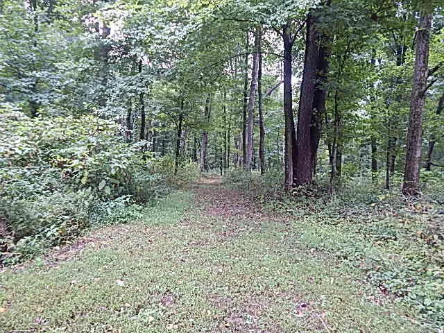 29650 D DRIVE S Albion, MI 49224