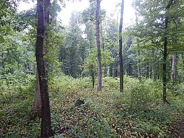 29650 D DRIVE S Albion, MI 49224