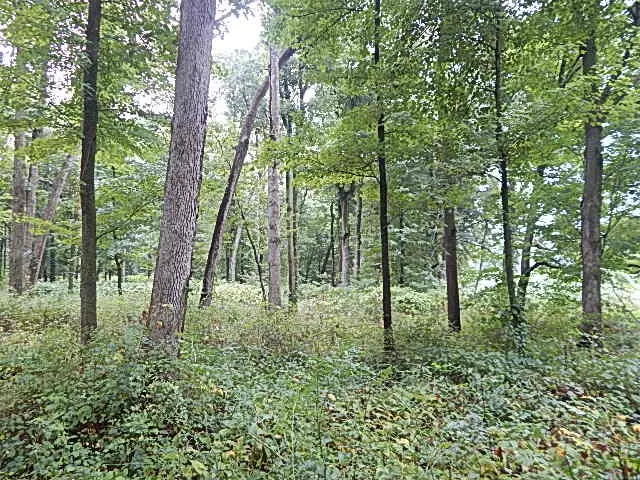 29650 D DRIVE S Albion, MI 49224