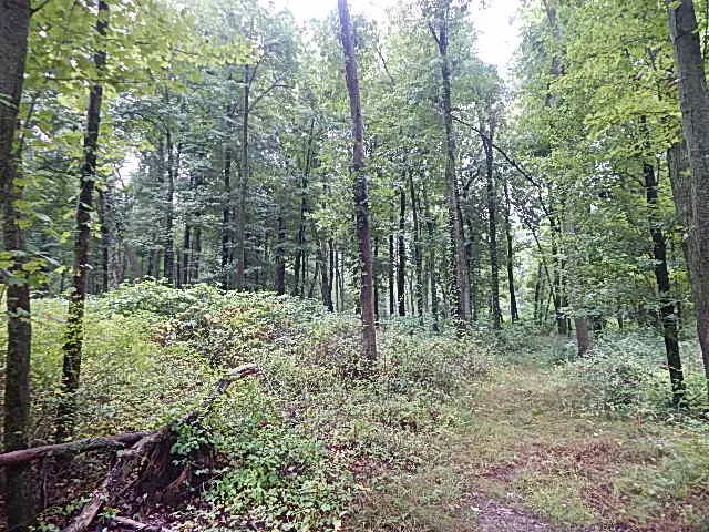 29650 D DRIVE S Albion, MI 49224