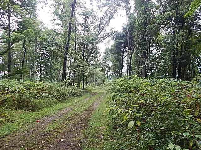 29650 D DRIVE S Albion, MI 49224