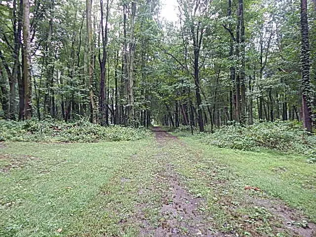 29650 D DRIVE S Albion, MI 49224
